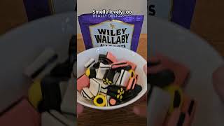 Wiley Wallaby Allsorts Licorice 🦘 licorice candy wallaby asmr food candies [upl. by Mcloughlin]