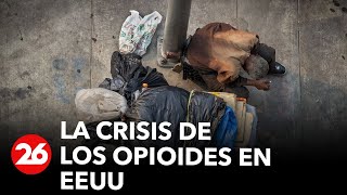 La crisis de los opioides en EEUU [upl. by Egerton282]