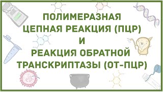 ПЦР  диагностика вирусной инфекции коронавируса  наглядное объяснение метода [upl. by Canfield]