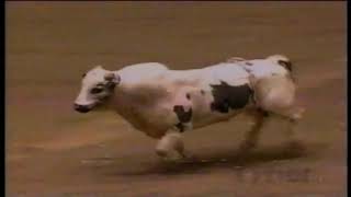 PBR 1997 Scott Doyle wrecks on Panhandle Slim [upl. by Ellerred]