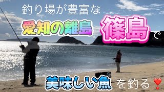 釣り場が豊富な篠島で釣り🎣20231118 [upl. by Ha]