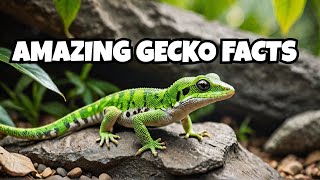 Fascinating Facts About Geckos [upl. by Obelia849]