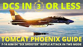 F14 Phoenix Tutorial  Tomcat AIM54 Ripple  DCS in 3 Or Less [upl. by Brenza]