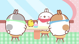 Molang Back to School Compilation  More MolangCartoon ⬇️ ⬇️ ⬇️ [upl. by Nanon594]