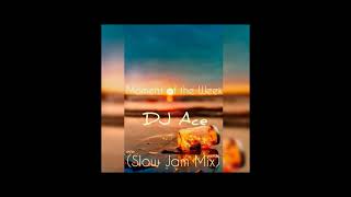 DJ Ace  Moment of the Week Slow Jam Mix [upl. by Arvy]