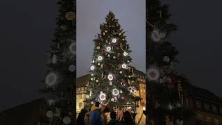 Strasbourg Christmas Market villageidiotadventures [upl. by Nirmak]