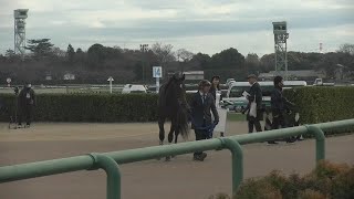 2歳未勝利 現地 レース後の様子 勝ったリアレストは口取り待ち 20231224 中山競馬場 4R [upl. by Gemini]