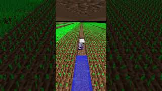 You can Make this Potato Farm Grow Day 5 minecraft minecraftmemes minecraftshorts [upl. by Ynoep]