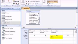 Access 2007  Créer une requête basée sur un champs ouinon [upl. by Dorrehs]