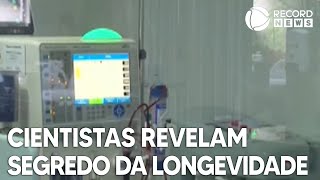 Resiliência imunológica pode ser o segredo da longevidade [upl. by Roede]