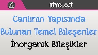 Canlının Yapısında Bulunan Temel Bileşenler  İnorganik Bileşikler [upl. by Marleen]