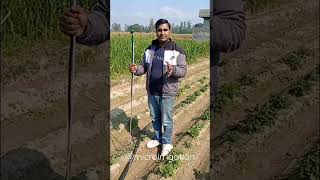 Sprinkler Irrigation system shorts [upl. by Gona]