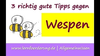 WESPEN Diese 3 Tipps helfen wirklich [upl. by Epifano960]