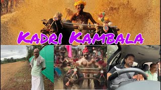 Kadri Kambala  ಕಂಬಳ  Buffalo race kantara udupi udupidistrictmedia [upl. by Ahpla731]