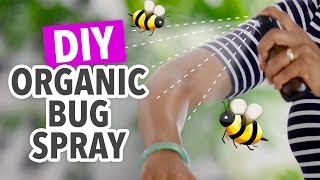 DIY Bug Repellent  Organic amp Natural  HGTV Handmade [upl. by Linc562]