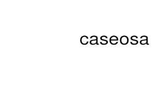 How to pronounce caseosa [upl. by Libby]