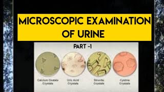 Urine Microscopy  Physical Examination Part 1 [upl. by Leumel]