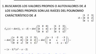 Cómo diagonalizar matrices reales [upl. by Ardnatal]