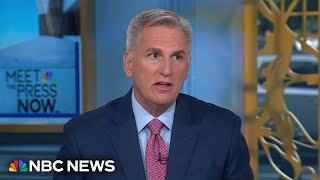 Fmr Speaker Kevin McCarthy DEI attacks on VP Kamala Harris are ‘stupid and dumb’ [upl. by Tansy]