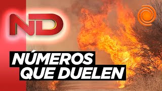 Imágenes satelitales que revelan la tragedia incendios en Córdoba con números devastadores [upl. by Auqenes]