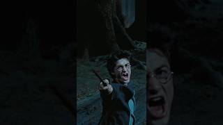 Harry Potter  New Movie  Check it Out [upl. by Eneleh]