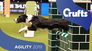 Agility  Championship Final  ​Crufts 2019 [upl. by Oriane]