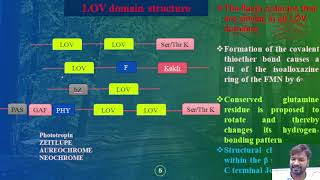 Photoreceptors Part3 THE LOV LIGHT VOLTAGE AND OXYGEN AND UVR SENSORS IN PLANTS [upl. by Nunci]