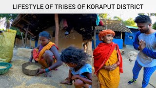 Desia amp Paraja Tribes In Koraput  Lifestyle In Gadapadar Village Jeypore  Koraput Tribal Series [upl. by Ydoj701]