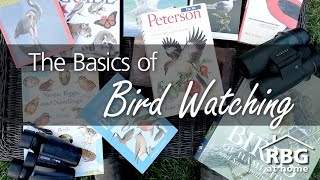 Bird Watching for Beginners [upl. by Uok]