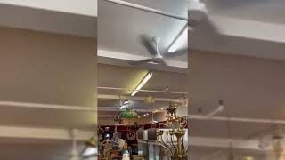 Four Seasons Venair IndustrialCommercial Ceiling Fans Canada in a store [upl. by Akahc]