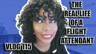 The quotReal Lifequot of a Flight Attendant  Vlog 115  GUESS WHAT CELEBRITY WAS ON MY FLIGHT [upl. by Pengelly419]