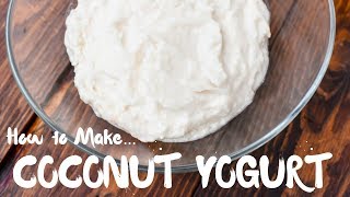 How to Make Coconut Yogurt  Raw Vegan Leban [upl. by Esch762]