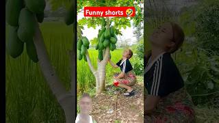 Give papaya juice 😂🤣 Papayas are very plentiful haha funny viralvideo shorts [upl. by Vitkun]