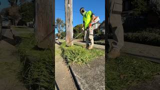 Whipper snipping  Line Trimming with the Stihl KMA 135r asmr stihl satisfying gardening [upl. by Coffey]