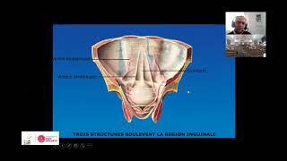 Cours Anatomie architecture de péritoineDr Bassem Abid [upl. by Kappel]