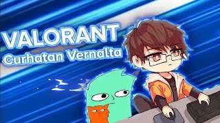 Curhatan Vernalta  「Valorant Indonesia」 ft SentinelPro242 [upl. by Tamara]