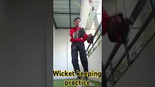 Wicket keeping practicecricketnews [upl. by Ledarf]