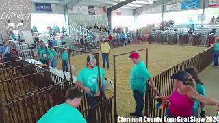 Clermont County Born and Raised Goat Show [upl. by Zel638]