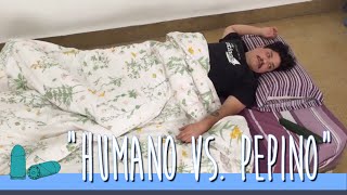 Humano vs Pepino Gato vs Pepino [upl. by Tterag]