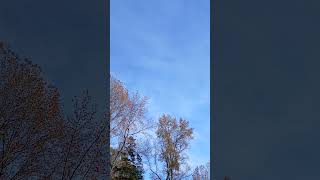 Illuminati Chemtrail Planes in Charlotte NC [upl. by Ahsiryt]