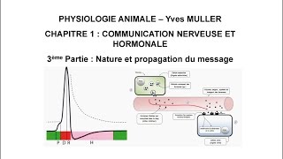 Chapitre 13 Nature et propagation du message nerveux et hormonal [upl. by Archle44]