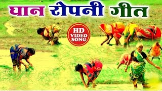 Video गीत  धान रोपनी गीत Dhobi Geet  Khushabu Raj  Sumit Y LalaKavita Yadav Kahrawa Video [upl. by Joyann]