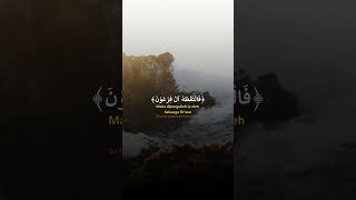 فا لتقته ال فرعون quran quotes muslim history fyp [upl. by Evey]