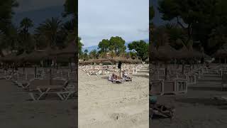 Alcudia beach September UPDATE [upl. by Odlaner]