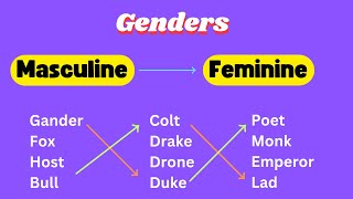 Genders  Masculine amp Feminine Examples [upl. by Hearn]