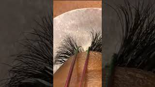 Solving Common Eyelash Extension Problems shorts eyelashextensions beauty lashes [upl. by Eednac247]