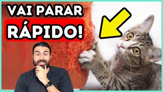 Como Fazer o Gato Parar de Arranhar os Móveis Sem Estresse [upl. by Roz]