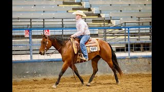 quotHeez Easy Tonitequot Finished Ranch Rider Versatility AQHA Gelding  SOLD [upl. by Janifer]