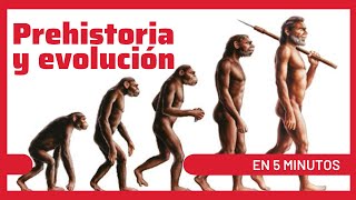 🔴 El PROCESO de HOMINIZACIÓN 🐒💀 y las etapas de la PREHISTORIA [upl. by Colene]