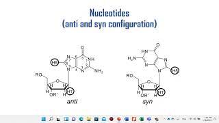 Nitrogenous bases nucleosides nucleotides chemistry and importance [upl. by Ahsilav]